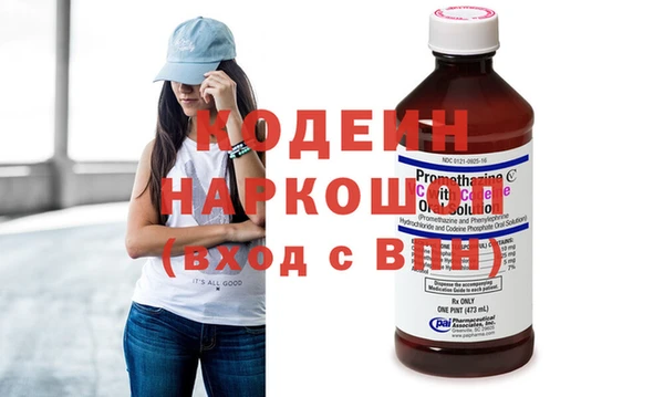 шишки Медвежьегорск
