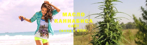 шишки Медвежьегорск
