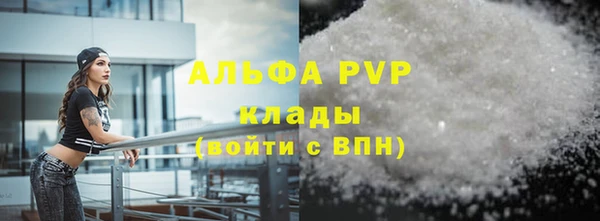 шишки Медвежьегорск
