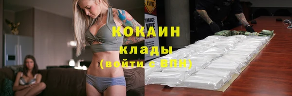 шишки Медвежьегорск