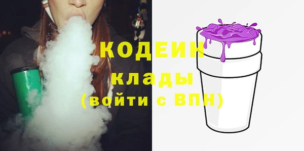 шишки Медвежьегорск