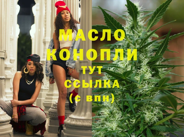 шишки Медвежьегорск