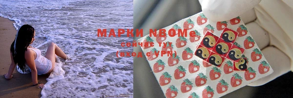шишки Медвежьегорск