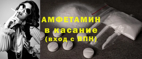 шишки Медвежьегорск