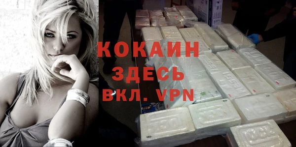 шишки Медвежьегорск